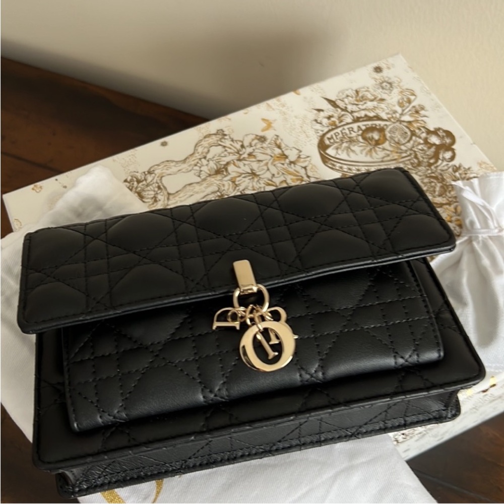 Lady Dior Chain Pouch - Picture 9 of 9